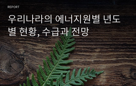 우리나라의 에너지원별 년도별 현황, 수급과 전망