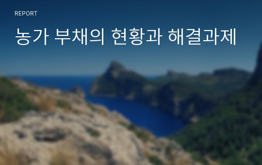 농가 부채의 현황과 해결과제