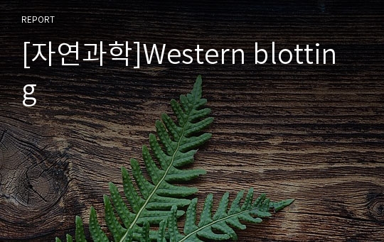 [자연과학]Western blotting