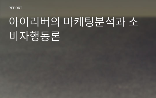 아이리버의 마케팅분석과 소비자행동론