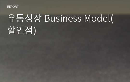 유통성장 Business Model(할인점)