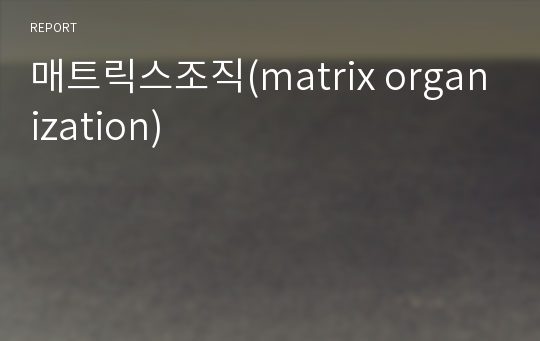 매트릭스조직(matrix organization)