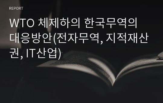 WTO 체제하의 한국무역의 대응방안(전자무역, 지적재산권, IT산업)