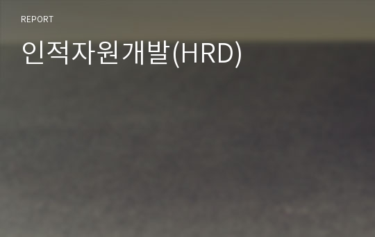 인적자원개발(HRD)