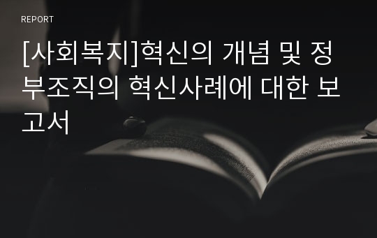 [사회복지]혁신의 개념 및 정부조직의 혁신사례에 대한 보고서