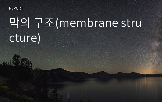 막의 구조(membrane structure)