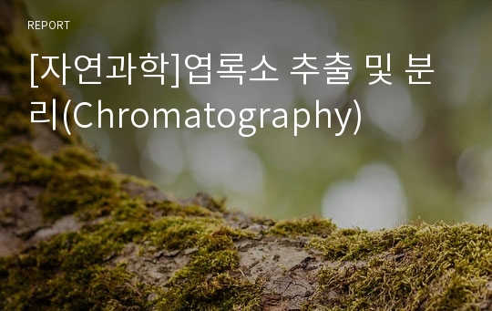 [자연과학]엽록소 추출 및 분리(Chromatography)