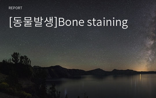 [동물발생]Bone staining