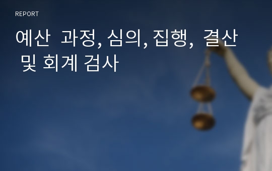 예산  과정, 심의, 집행,  결산 및 회계 검사