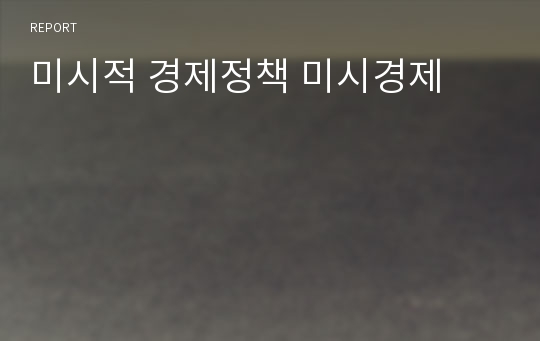 미시적 경제정책 미시경제