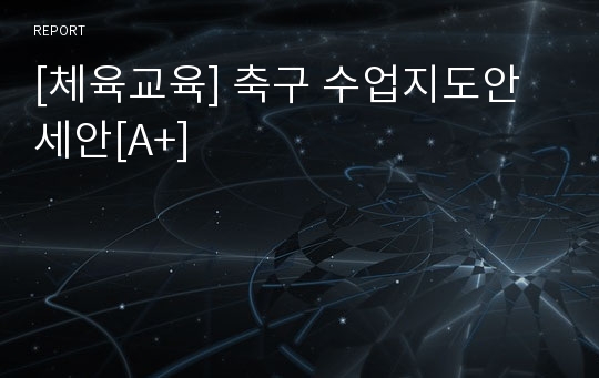 [체육교육] 축구 수업지도안 세안[A+]