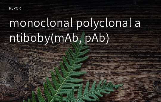 monoclonal polyclonal antiboby(mAb, pAb)