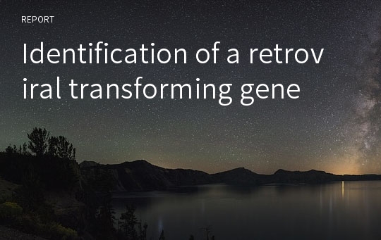 Identification of a retroviral transforming gene