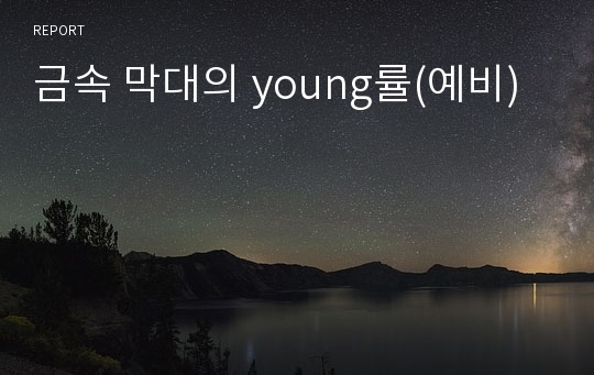 금속 막대의 young률(예비)