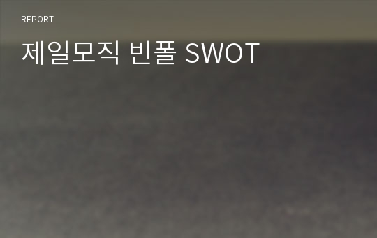 제일모직 빈폴 SWOT