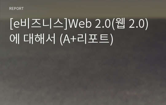 [e비즈니스]Web 2.0(웹 2.0)에 대해서 (A+리포트)