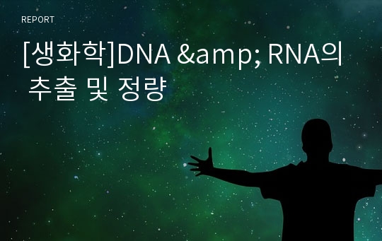 [생화학]DNA &amp; RNA의 추출 및 정량