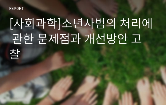 [사회과학]소년사범의 처리에 관한 문제점과 개선방안 고찰