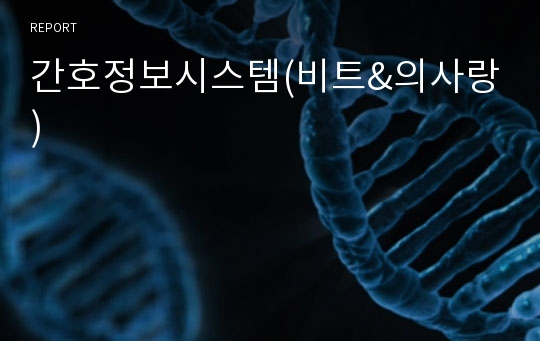 간호정보시스템(비트&amp;의사랑)