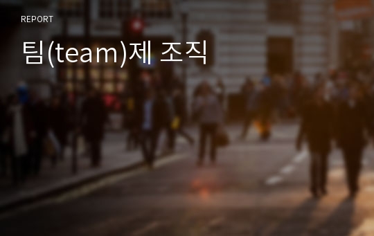 팀(team)제 조직