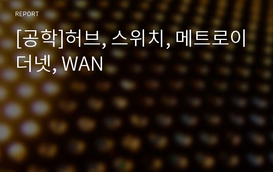 [공학]허브, 스위치, 메트로이더넷, WAN