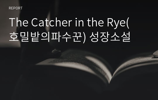 The Catcher in the Rye(호밀밭의파수꾼) 성장소설