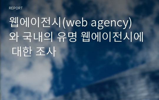 웹에이전시(web agency) 와 국내의 유명 웹에이전시에 대한 조사