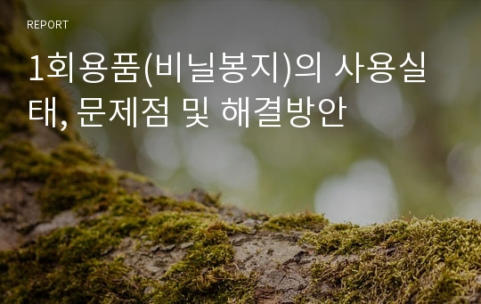 1회용품(비닐봉지)의 사용실태, 문제점 및 해결방안