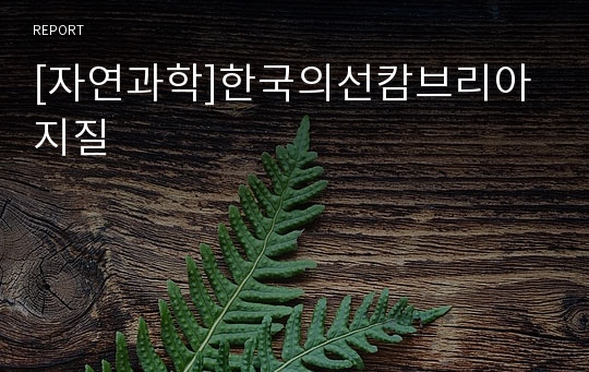 [자연과학]한국의선캄브리아지질