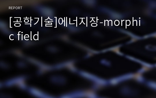 [공학기술]에너지장-morphic field