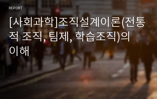 [사회과학]조직설계이론(전통적 조직, 팀제, 학습조직)의 이해