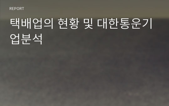 택배업의 현황 및 대한통운기업분석