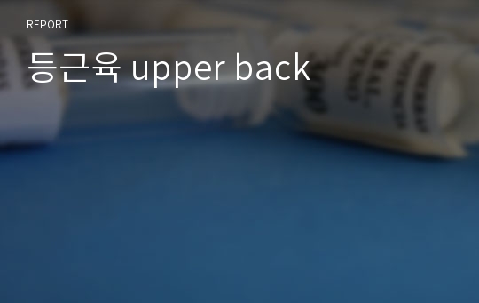 등근육 upper back