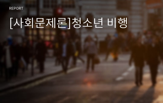 [사회문제론]청소년 비행