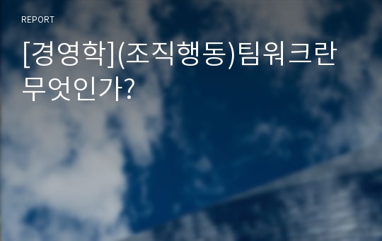 [경영학](조직행동)팀워크란 무엇인가?