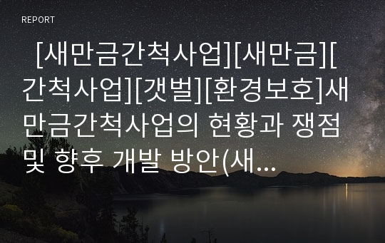   [새만금간척사업][새만금][간척사업][갯벌][환경보호]새만금간척사업의 현황과 쟁점 및 향후 개발 방안(새만금간척사업, 새만금간척사업 현황, 새만금간척사업 쟁점, 새만금 신항만 개발, 새만금간척사업 반대의견)