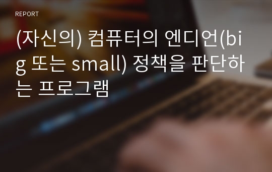 (자신의) 컴퓨터의 엔디언(big 또는 small) 정책을 판단하는 프로그램