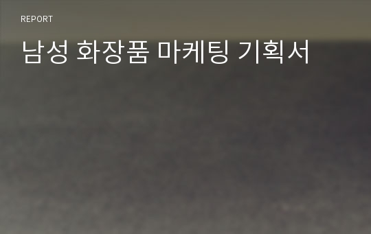 남성 화장품 마케팅 기획서