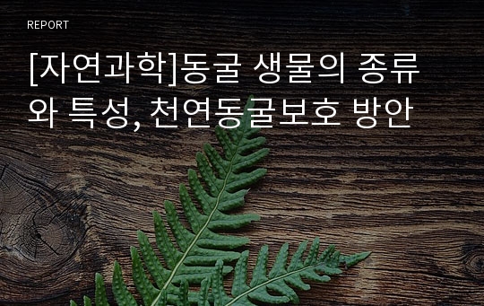 [자연과학]동굴 생물의 종류와 특성, 천연동굴보호 방안