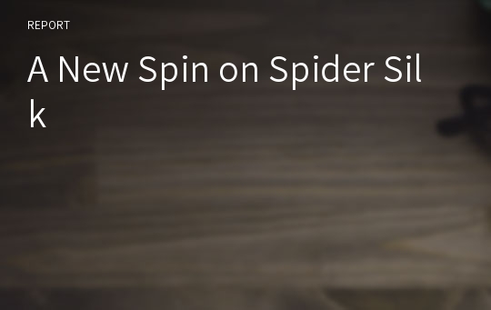 A New Spin on Spider Silk