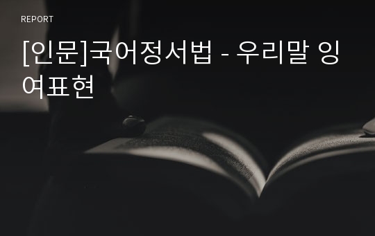 [인문]국어정서법 - 우리말 잉여표현