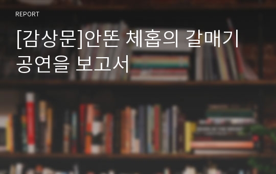 [감상문]안똔 체홉의 갈매기 공연을 보고서