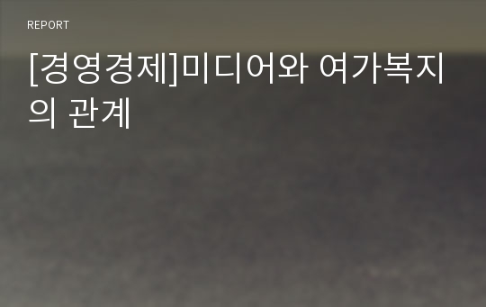 [경영경제]미디어와 여가복지의 관계