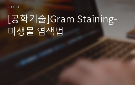 [공학기술]Gram Staining-미생물 염색법