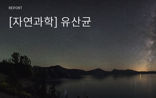 [자연과학] 유산균