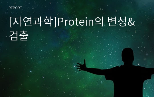 [자연과학]Protein의 변성&amp;검출