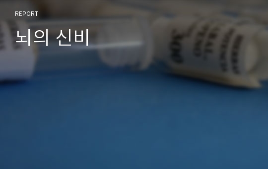 뇌의 신비