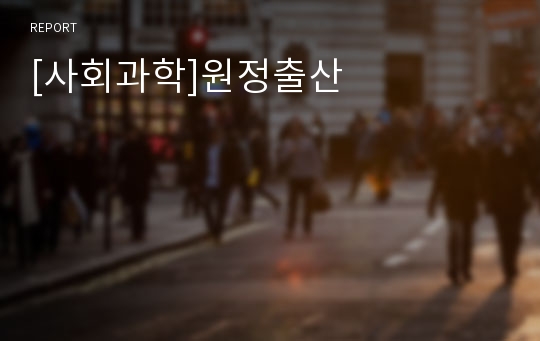 [사회과학]원정출산