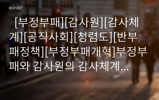   [부정부패][감사원][감사체계][공직사회][청렴도][반부패정책][부정부패개혁]부정부패와 감사원의 감사체계 개선방안(부정부패의 원인, 부정부패의 특징, 공직사회의 청렴도 수준, 감사원 감사체계 개선방안)