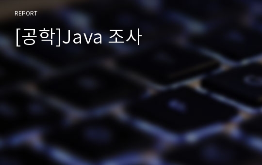 [공학]Java 조사